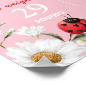 Love Bug Daisy Birthday Photo Milestone Poster (Ecke)