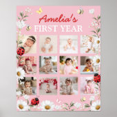 Love Bug Daisy First Year Photo Milestone Poster (Vorne)