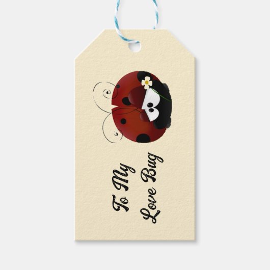 Love Bug Ladybug, Cute Cartoon Valentine’s Day Geschenkanhänger (Vorderseite)