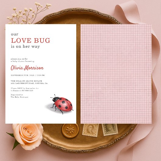 Love Bug Ladybug Gingham Baby Shower Einladung