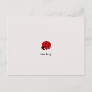 Love Bug Postkarte