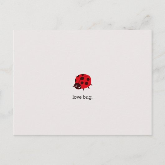 Love Bug Postkarte (Vorderseite)