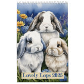 Love Bunny Rabbits Kalender (Titelbild)