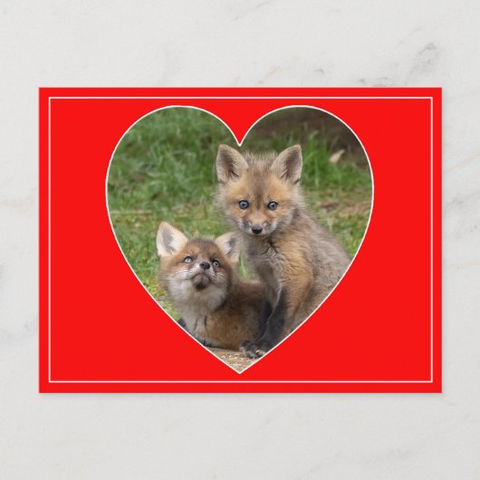 Love Eyes Valentine Postkarte (Vorderseite)