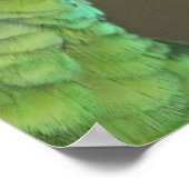 Love forever - cute parrots poster (Ecke)