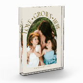 Love Grows Here Modern Arch Cream Fotoblock (Links)