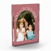 Love Grows Here Modern Arch Pink Fotoblock (Links)