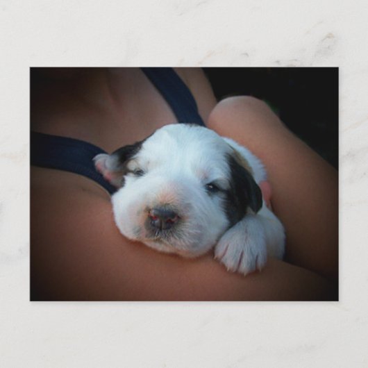 Love Hug Postkarte (Vorderseite)