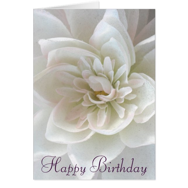 Love in Blossom_ (Vorne)