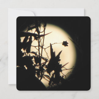 Love in the Moonlight shimmer Einladung