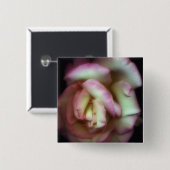 <Love is a Rose> durch Nathan Griffith Button (Vorne & Hinten)