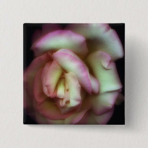 <Love is a Rose> durch Nathan Griffith Button