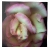 <Love is a Rose> durch Nathan Griffith Fliese (Vorderseite)