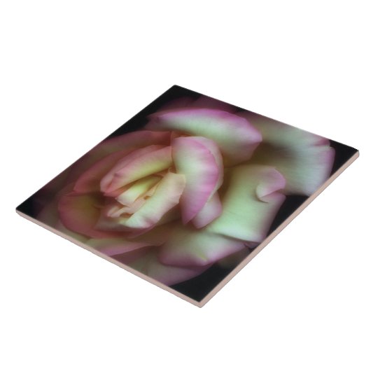 <Love is a Rose> durch Nathan Griffith Fliese (Seite)