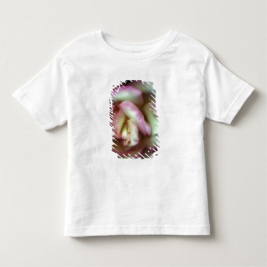 <Love is a Rose> durch Nathan Griffith Kleinkind T-shirt (Vorderseite)