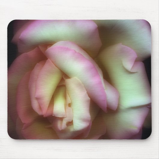 <Love is a Rose> durch Nathan Griffith Mousepad (Vorne)