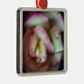 <Love is a Rose> durch Nathan Griffith Silbernes Ornament (Rechts)