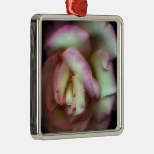 <Love is a Rose> durch Nathan Griffith Silbernes Ornament (Rechts)