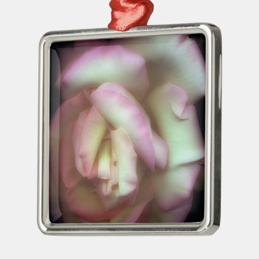 <Love is a Rose> durch Nathan Griffith Silbernes Ornament (Links)