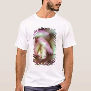 <Love is a Rose> durch Nathan Griffith T-Shirt