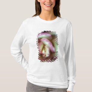 <Love is a Rose> durch Nathan Griffith T-Shirt