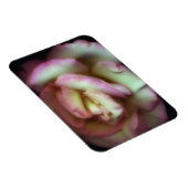 <Love is a Rose>von Nathan Griffith Magnet (Rechte Seite)