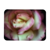 <Love is a Rose>von Nathan Griffith Magnet (Horizontal)