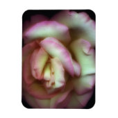 <Love is a Rose>von Nathan Griffith Magnet (Vertikal)