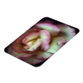 <Love is a Rose>von Nathan Griffith Magnet (Linke Seite)