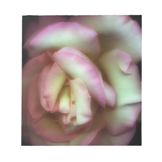 <Love is a Rose>von Nathan Griffith Notizblock (Vorderseite)