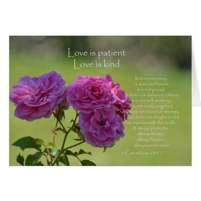 Love is Patient Roses (Vorderseite (Horizontal))