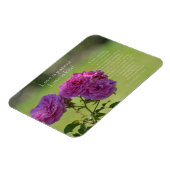 Love is Patient Roses Magnet (Linke Seite)