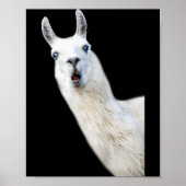 Love Llama Women Shirt Llama Lovers For Kids And G Poster (Vorne)