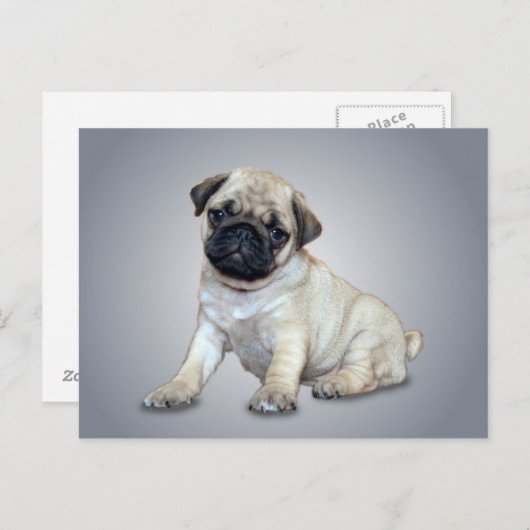 Love Mops Postcard Postkarte (Vorne/Hinten)