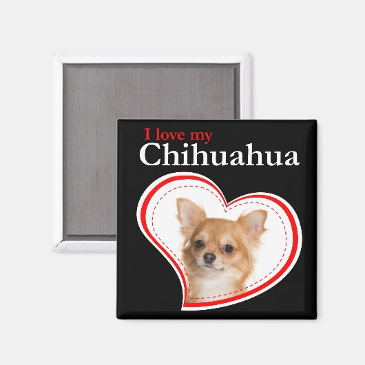 Love My Chihuahua Magnet (Vorderseite/Rückseite)