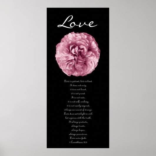 Love - Pink Rose Poster (Vorne)