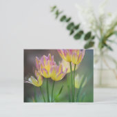 Love Postkarte (Stehend Vorderseite)