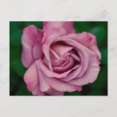 Love Postkarte (Vorderseite)