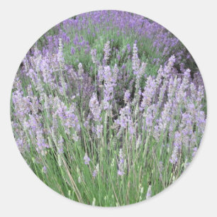 Love Provence French Lavender Runder Aufkleber