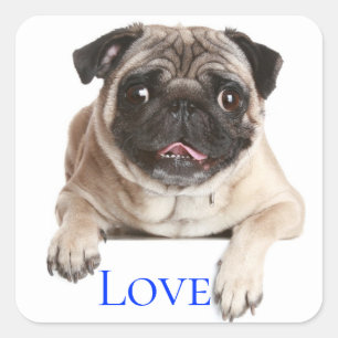 Love Pug Welpe Hund - Ich denke an Dich, Quadratischer Aufkleber