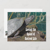 Love Remüde Leben Humour Turtle Foto Funny Postkarte (Vorne/Hinten)