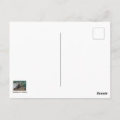 Love Remüde Leben Humour Turtle Foto Funny Postkarte (Rückseite)