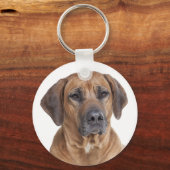 Love Rhodesian Ridgeback Puppy Dog Keychain Schlüsselanhänger (Vorderseite)