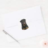 Love Rottweiler Puppy Dog Sticker / Seal (Umschlag)