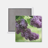 Love Spring Magnet (Vorderseite/Rückseite)