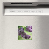 Love Spring Magnet (In Situ (Geschirrspüler))