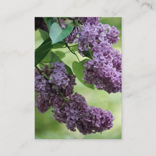 Love Spring Mini Print Visitenkarte (Vorderseite)