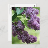 Love Spring Postcard Postkarte (Vorne/Hinten)