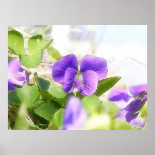 Love Spring Violet Poster (Vorne)