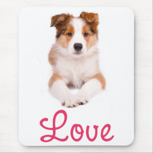 Love Tan & White Border Collie Welpen-Hund-Mauspad Mousepad